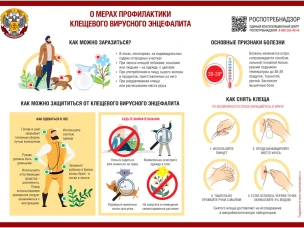 Об эпидемиологической ситуации по инфекциям, передающимися клещами